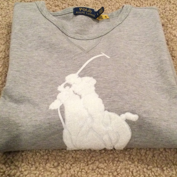Polo Ralph Lauren Other - Polo Ralph Lauren Pony Tech Sweatshirt